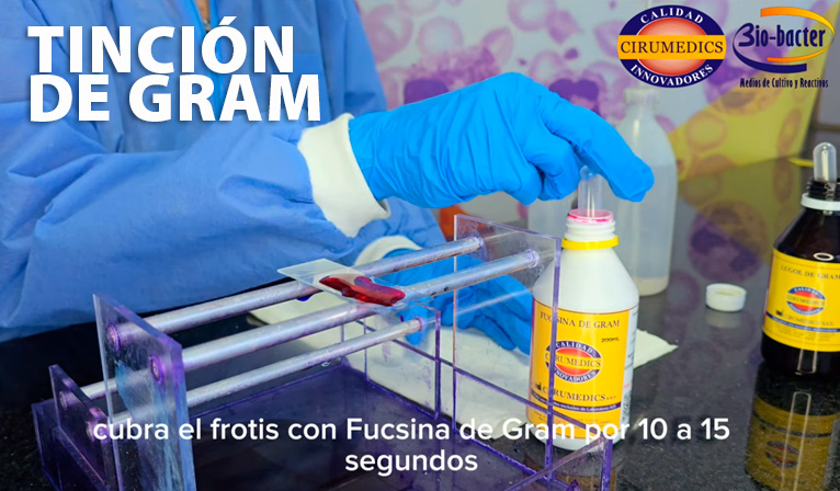 Tinción de Gram canal cirumedics