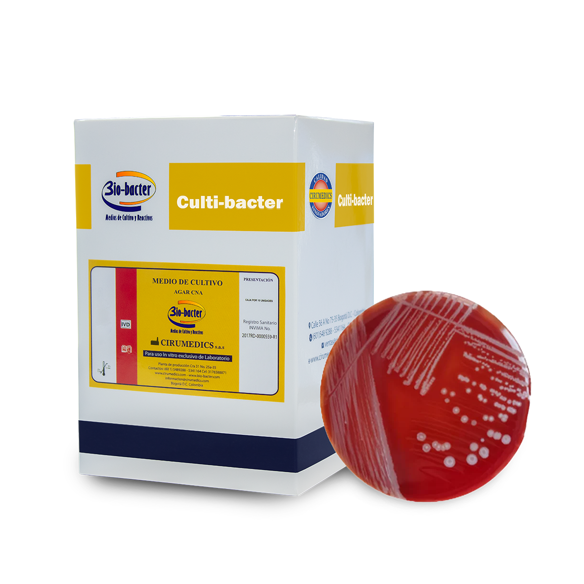 agar CNA cultivo bacterias Gram positivas