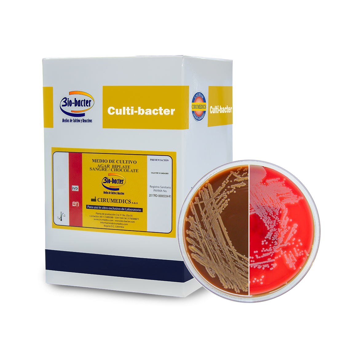 Cultivo microbiológico en BiPlate sangre chocolate