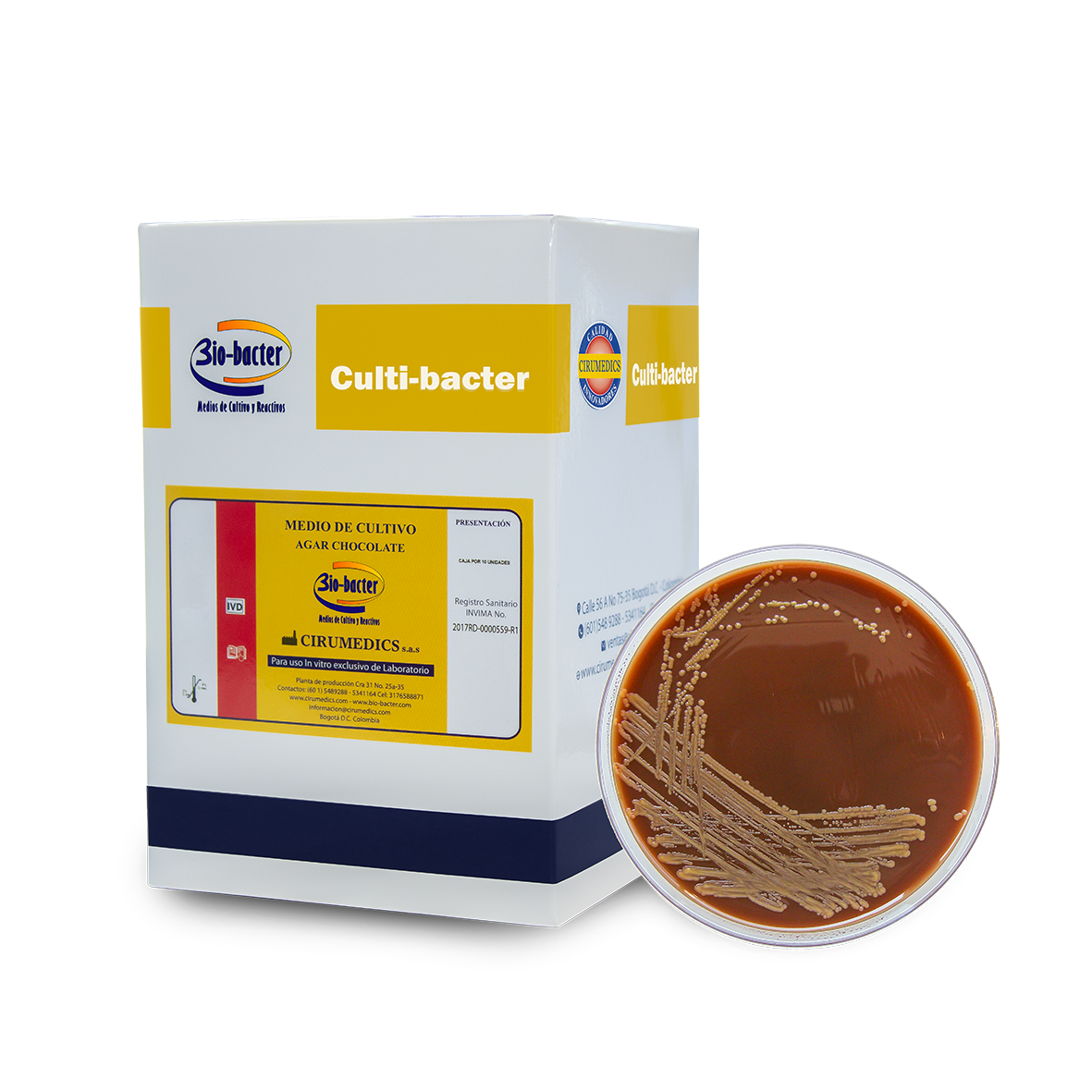 Agar Chocolate cultivo bacterias exigentes | Medio enriquecido para microbiología